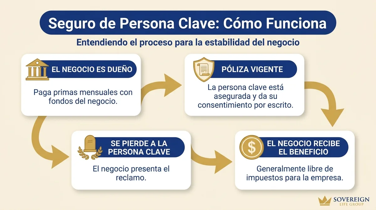 Diagrama de flujo que muestra cómo funciona el seguro de persona clave: el negocio compra y es dueño de una póliza sobre un empleado clave, paga primas mensuales y recibe el beneficio por fallecimiento si esa persona fallece durante el periodo de cobertura