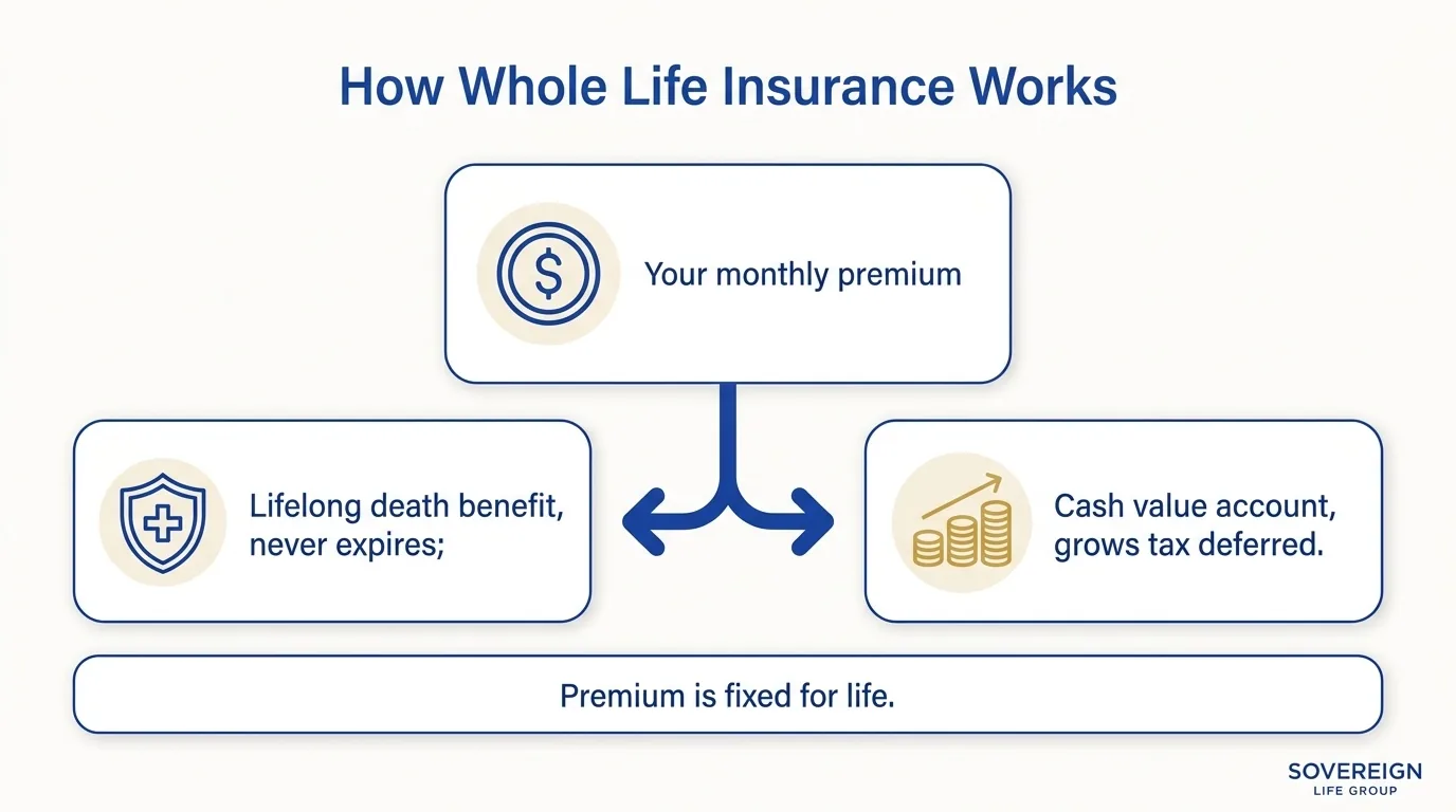Diagram of how whole life insurance works, showing one premium funding a lifelong death benefit and a cash value account